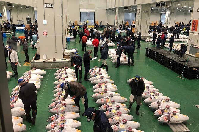 Morning Market Adventure: Toyosu & Tsukiji with Tuna Auction - Key highlights to know before you go