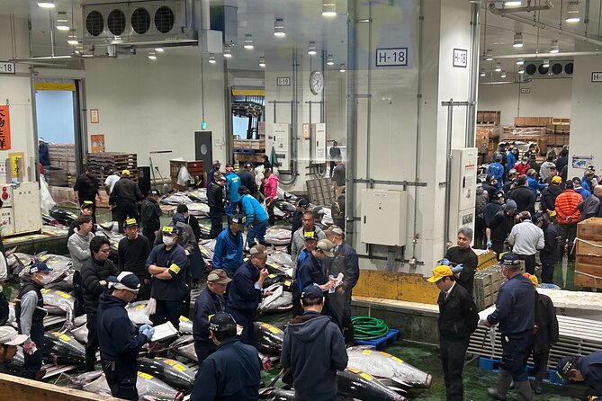 Morning Market Adventure: Toyosu & Tsukiji with Tuna Auction - The Toyosu Market stop: what makes the new wholesale hub special