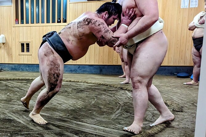 Morning Sumo Practice Viewing in Tokyo - Why morning sumo practice is better than a stadium show