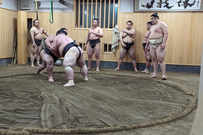 Morning Sumo Practice Viewing in Tokyo - Timing, route flow, and what the 3 hours really feel like