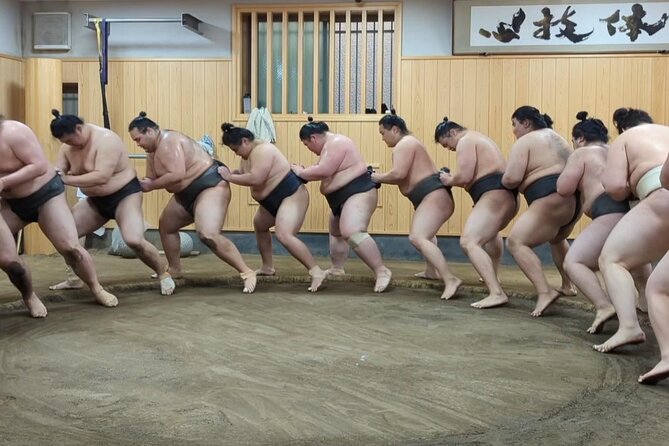 Morning Sumo Practice Viewing in Tokyo - Price and value: what you’re actually paying for