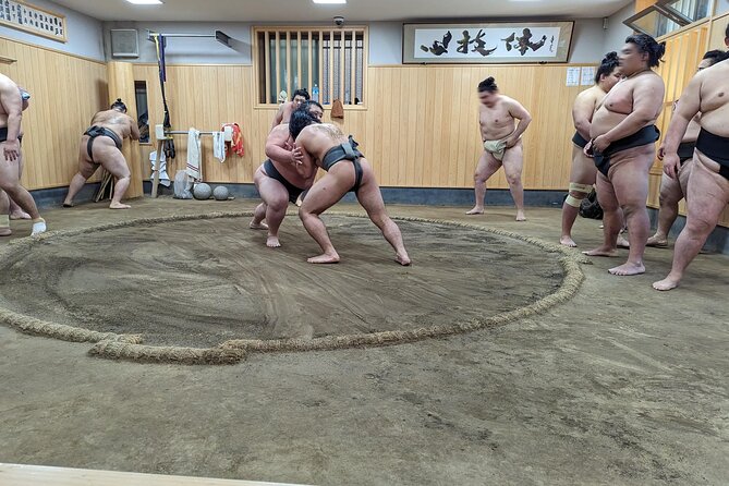 Morning Sumo Practice Viewing in Tokyo - Who should book this tour, and who should skip it