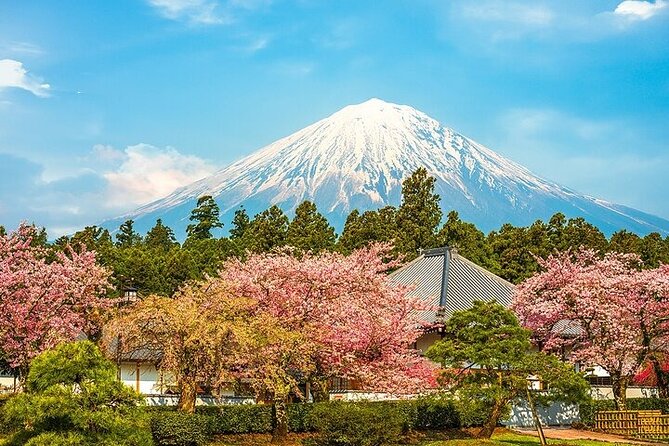 Mount Fuji 5th Station, Arakurayama, Oshino Hakkai and Hot Spring - Oshino Hakkai’s springs: eight ponds with big day-trip payoff