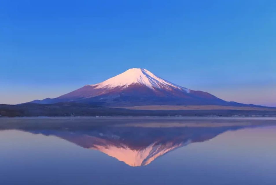 Mount Fuji and Hakone Day tour with English speaking Drivers - Private Tokyo Pickup and Small-Group Comfort