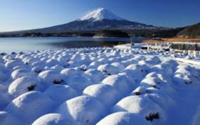 Mount Fuji and Hakone Day tour with English speaking Drivers - Two Route Choices: Fuji Five Lakes vs. Hakone Hot Springs and Art