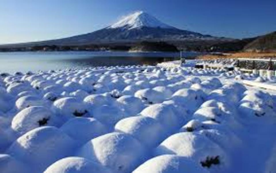 Mount Fuji and Hakone Day tour with English speaking Drivers - Two Route Choices: Fuji Five Lakes vs. Hakone Hot Springs and Art