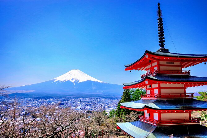 Mount fuji and Hakone Full day private sightseeing tour - Key things that make this tour click