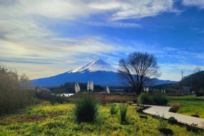 Mount fuji and Hakone Full day private sightseeing tour - The morning shrine start: Kitaguchi Hongu Fuji Sengen Jinja