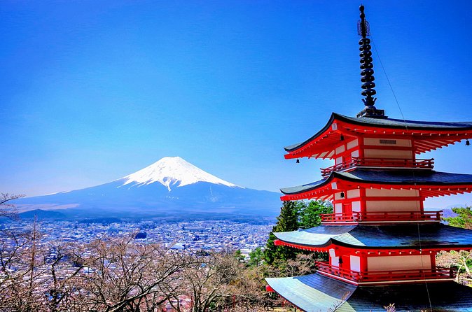 Mount fuji and Hakone Full day private sightseeing tour - Owakudani: the sulfur valley and the black eggs