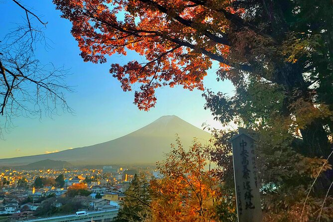 Mount fuji and Hakone Full day private sightseeing tour - Togendai Station and the cable car view