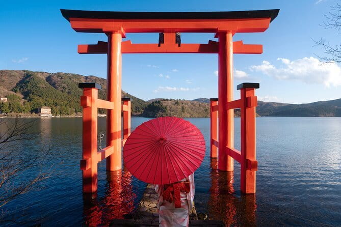 Mount Fuji and Hakone Private Day Trip by Car/Van - in English - Private car comfort: why this day trip works better than big groups