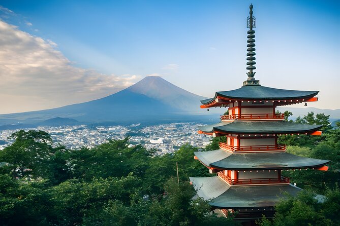 Mount Fuji and Hakone Private day trip from Tokyo - How a private Fuji and Hakone day actually feels from Tokyo