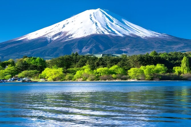 Mount Fuji and Hakone Private day trip from Tokyo - Owakudani: getting up close to Hakone’s volcanic drama