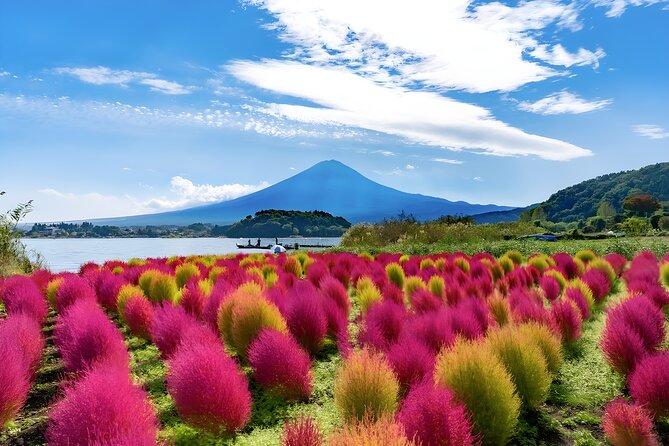 Mount Fuji and Hakone Private day trip from Tokyo - Hakone Ropeway: cable car views with an extra ticket cost