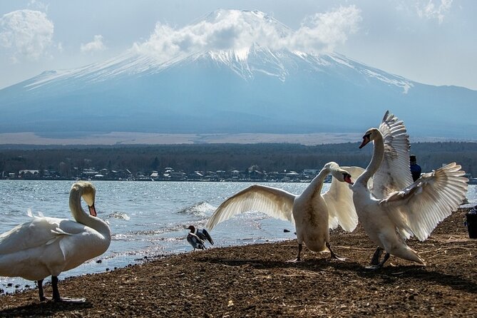Mount Fuji and Hakone Private day trip from Tokyo - Hakone Shrine and Heiwa no Torii: red gate meets cedar forest