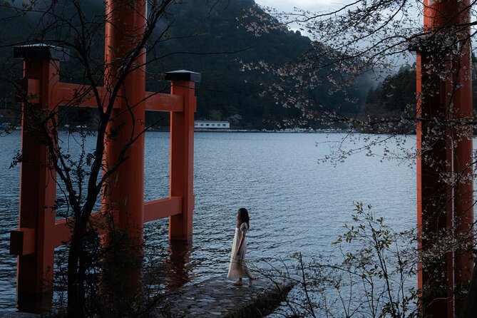 Mount Fuji and Hakone Private day trip from Tokyo - The real value question: $392.47 per group and what you get for it