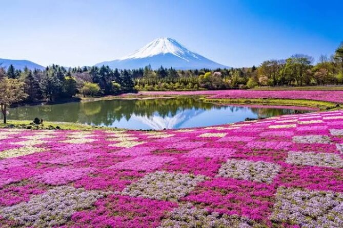 Mount Fuji and Hakone Private Tour by Car with Pickup from Tokyo - Key highlights that make this tour work