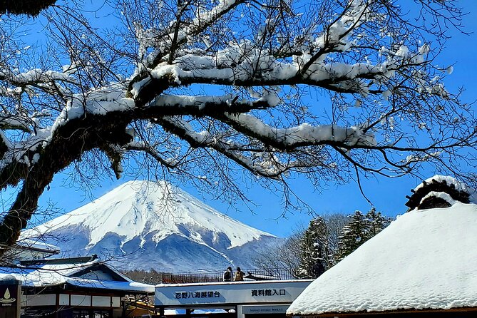 Mount Fuji and Hakone Private Tour from Tokyo (Customizable) - Key things I think you will care about