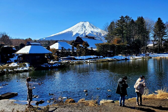 Mount Fuji and Hakone Private Tour from Tokyo (Customizable) - A 10-hour Fuji and Hakone day with your own guide