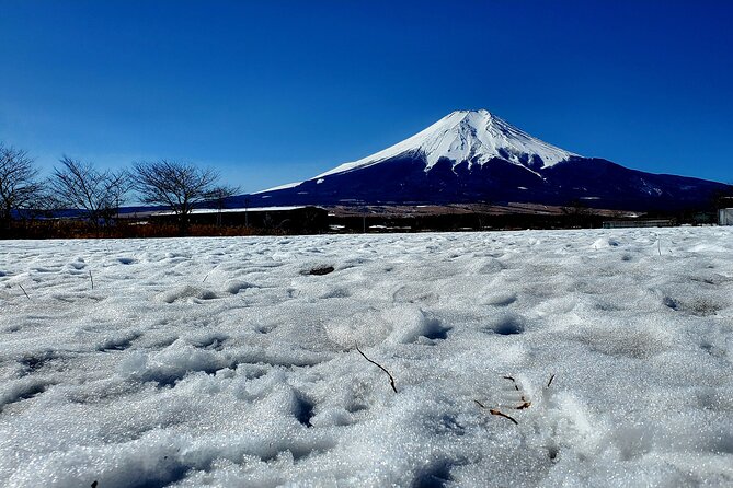 Mount Fuji and Hakone Private Tour from Tokyo (Customizable) - Hakone Ropeway: what you are paying for and what you should expect