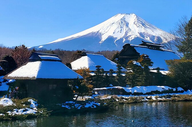Mount Fuji and Hakone Private Tour from Tokyo (Customizable) - Getting out of Tokyo: pickup timing and traffic reality