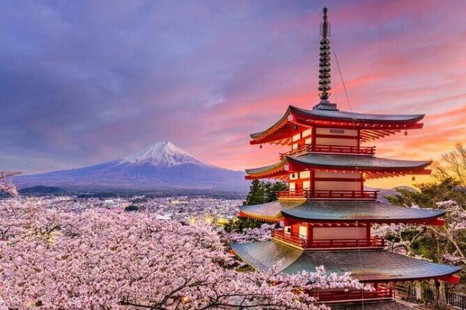Mount Fuji and Hakone Private Tour with Pickup from Tokyo - Key highlights you’ll actually feel