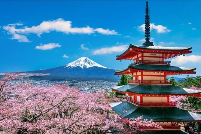 Mount Fuji and Hakone Private Tour with Pickup from Tokyo - Why this private Fuji + Hakone day tour works from Tokyo