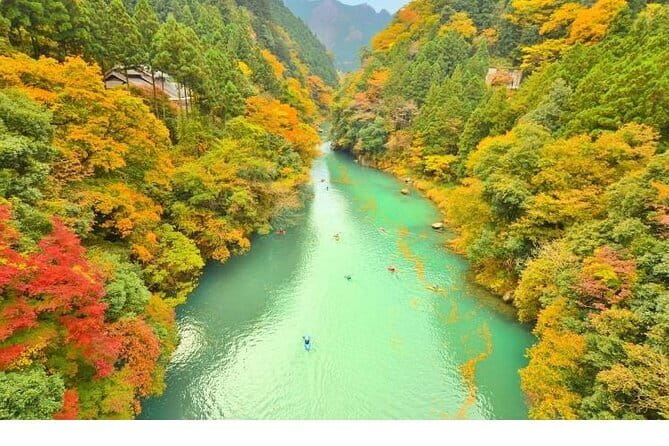 Mount Fuji and Hakone Private Tour with Pickup from Tokyo - Oishi Park: short time, strong view potential