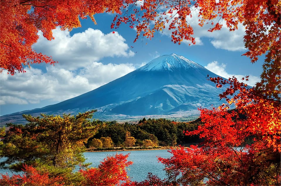 Mount Fuji and Hakone Tour with Personal Driver & Transport - Key highlights worth planning around