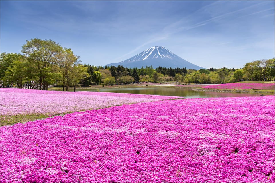 Mount Fuji and Hakone Tour with Personal Driver & Transport - Arakura Fuji Sengen Shrine: the iconic Fuji viewpoint with breathing room