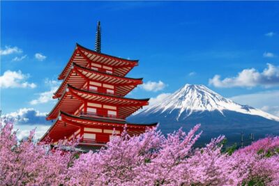 Mount Fuji and Hakone Tour with Personal Driver & Transport - Pickup in Tokyo (plus Kamakura and Hakone) without the chaos