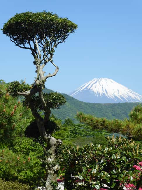 Mount Fuji: Customizable Private Tour By Car With Pickup - Guides and comfort: what you’ll notice first