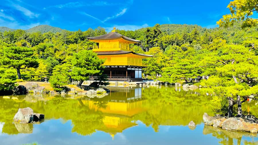 Mount Fuji Customize Private Tour with English Driver - Key points worth knowing before you go