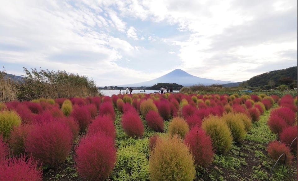 Mount Fuji Customize Private Tour with English Driver - Hakone and Lake Ashi: pirates, views, and a different vibe
