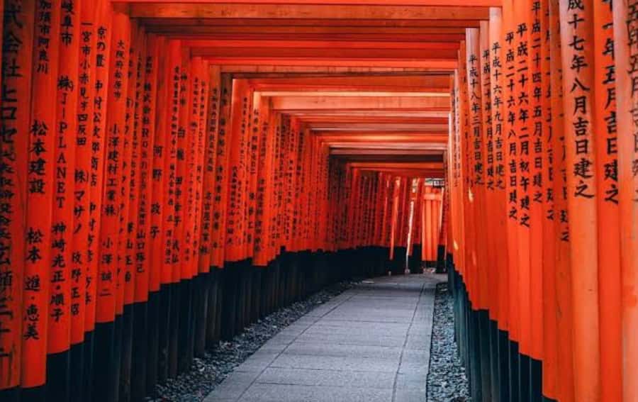 Mount Fuji Customize Private Tour with English Driver - Mt. Fuji shopping outlet stop: practical retail therapy
