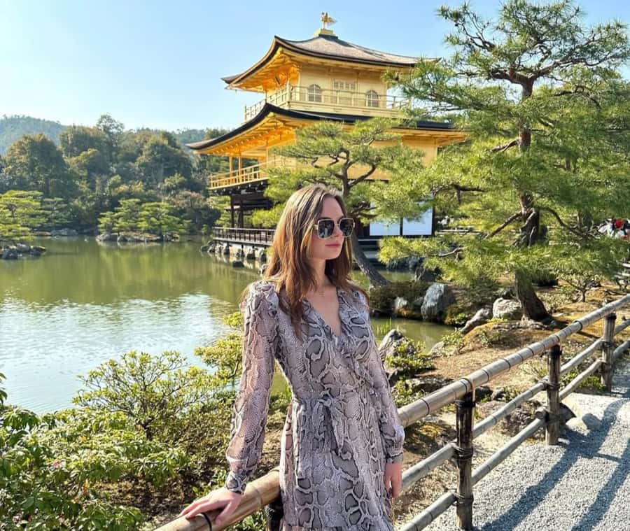 Mount Fuji Customize Private Tour with English Driver - Tokyo pickup to the south: how the day starts (and why it matters)