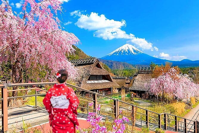 Mount Fuji Day Tour:Lake Kawaguchi, HealingVillage,Oshino Hakkai - Key points to know before you go