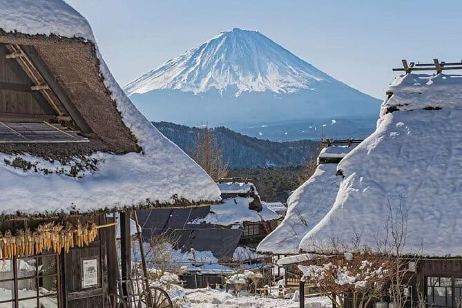 Mount Fuji Day Tour:Lake Kawaguchi, HealingVillage,Oshino Hakkai - A one-day Mount Fuji escape that feels low-effort