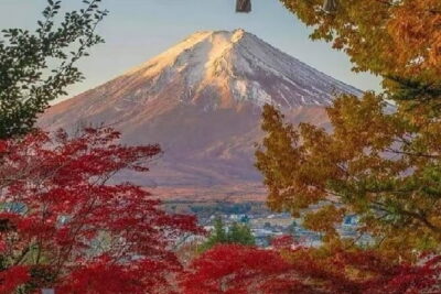 Mount Fuji Day Tour:Lake Kawaguchi, HealingVillage,Oshino Hakkai - Getting picked up from Tokyo (and what can affect timing)