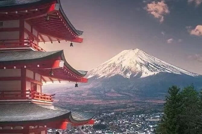 Mount Fuji Day Tour:Lake Kawaguchi, HealingVillage,Oshino Hakkai - Photo strategy for Fuji: how to get the most from imperfect weather