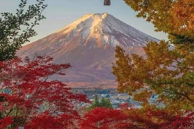 Mount Fuji Day Tour:Lake Kawaguchi, HealingVillage,Oshino Hakkai - Getting picked up from Tokyo (and what can affect timing)