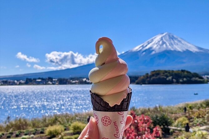 Mount Fuji Full Day Customize Private Tour with English Guide - Oishi Park and the Fuji-photo shrines: where the sky decides the shot