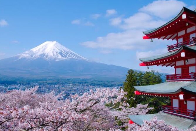 Mount Fuji Full Day Customize Private Tour with English Guide - Fujinomiya 5th Station: your ticket add-on and the Edo-era connection