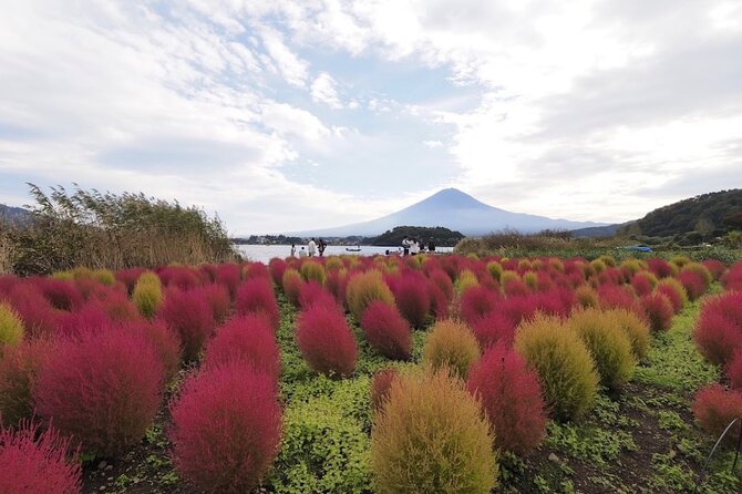 Mount Fuji Full Day Customized Private Tour with English Guide - Oshino Hakkai: the volcanic ponds that explain the landscape