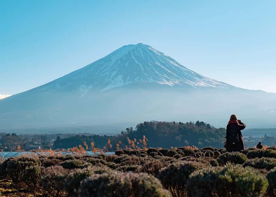 Mount Fuji Full-Day Private Sightseeing Tour with Guide - Key Highlights You’ll Actually Feel