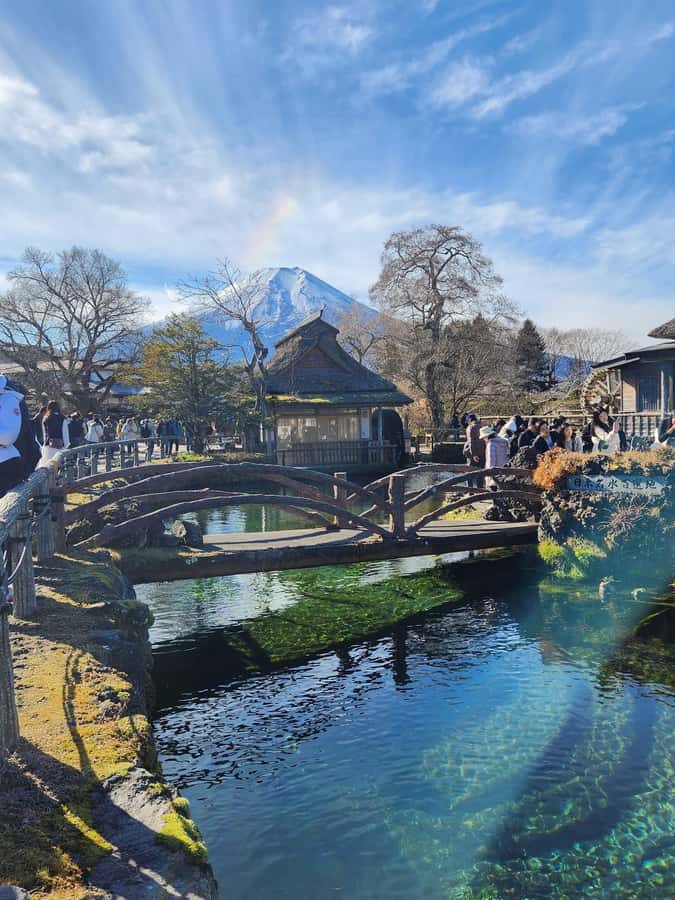 Mount Fuji Full-Day Private Sightseeing Tour with Guide - Why This Private Mt. Fuji Tour Feels Different From Bus Tours