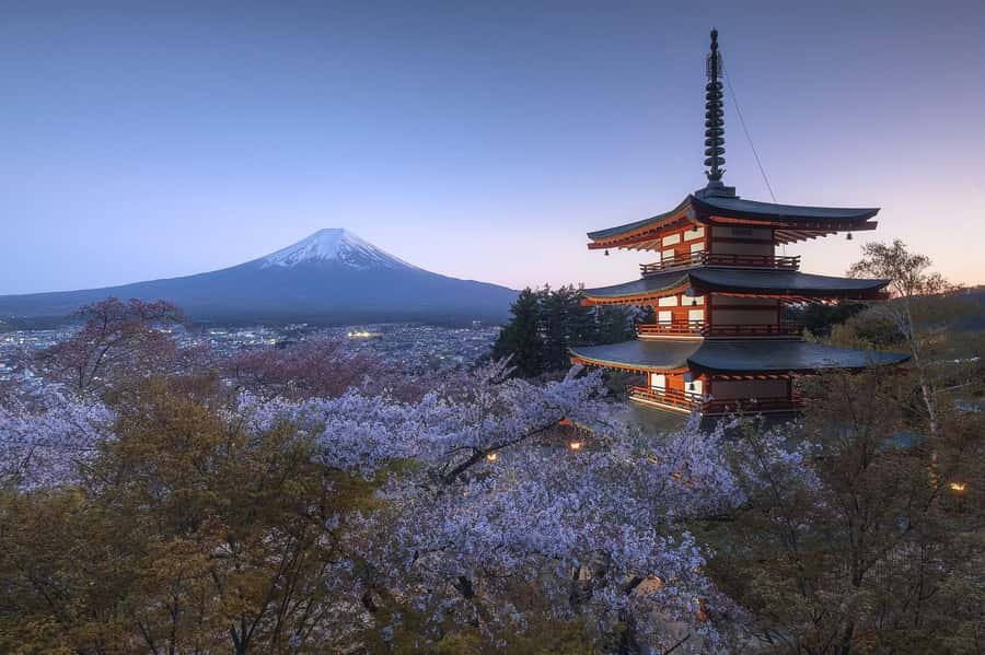 Mount Fuji Full-Day Private Sightseeing Tour with Guide - Oshino Hakkai Springs: The Quiet Counterpoint to Fuji Photos