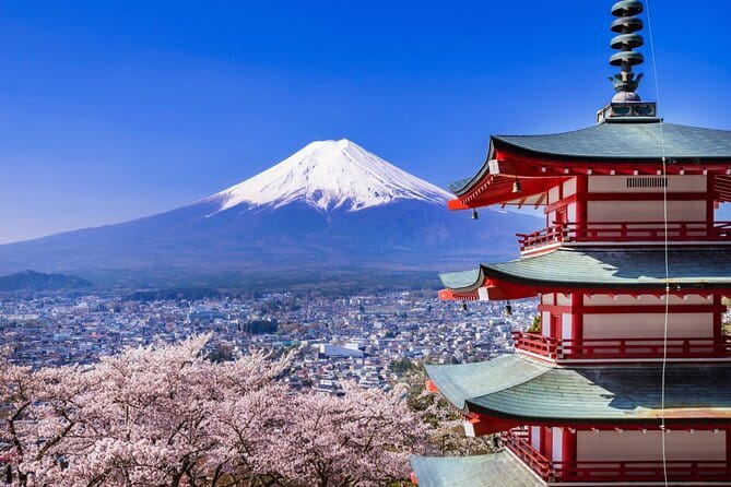 Mount Fuji Full Day Sightseeing Tour from Tokyo - Key things I’d zero in on before you go