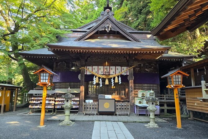 Mount Fuji Full Day Sightseeing Tour from Tokyo - Stop 3: Mt. Fuji 5th Station (around 2,300m) and the reality of altitude