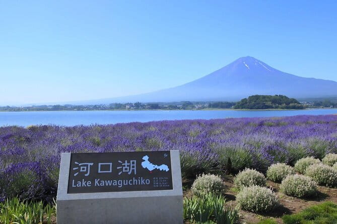 Mount Fuji Full Day Tour form Tokyo Lake Kawaguchi & Yamanaka - Meeting point and timing: what your schedule looks like